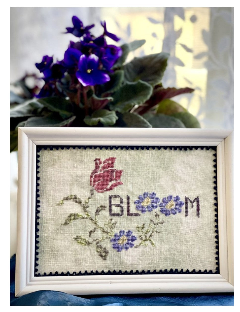 Bloom